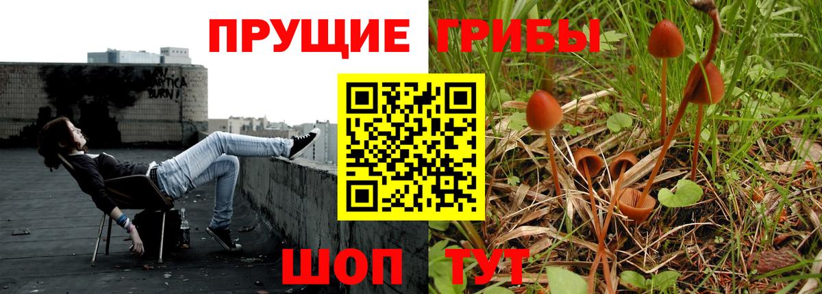 Псилоцибиновые грибы прущие грибы Новокузнецк